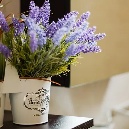 Citta Turrita Oda ve Kahvaltı 3*